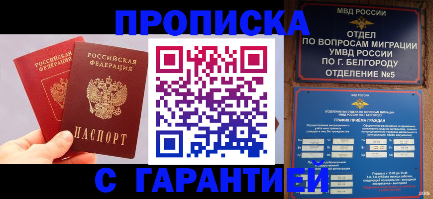 прописка 2025 в Ульяновской области